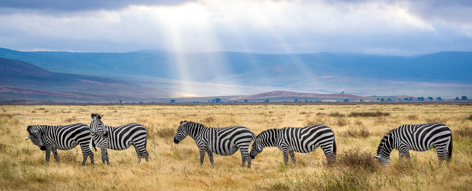 리얼케냐 현지 경험 이미지