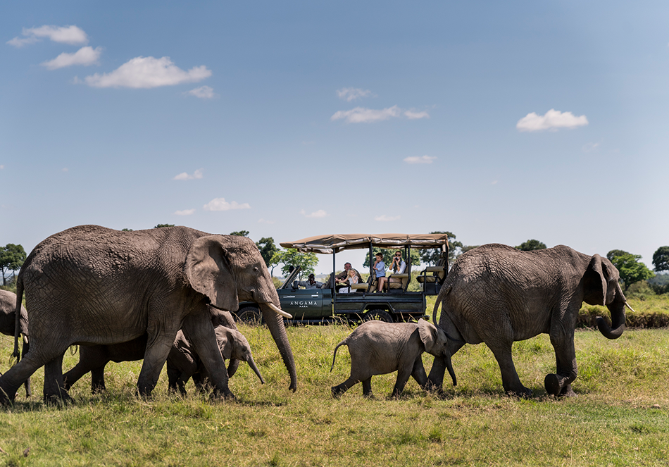 리얼케냐 여행 철학 이미지