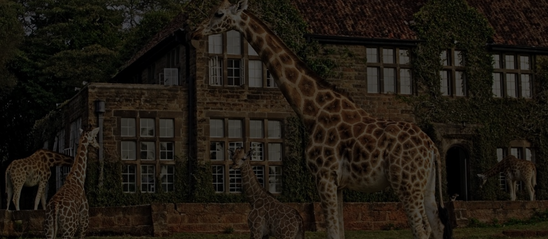 자주 묻는 질문 배경 이미지