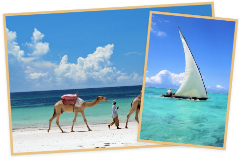 디아니 비치 (Diani Beach)